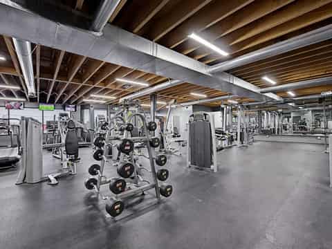 46 gym